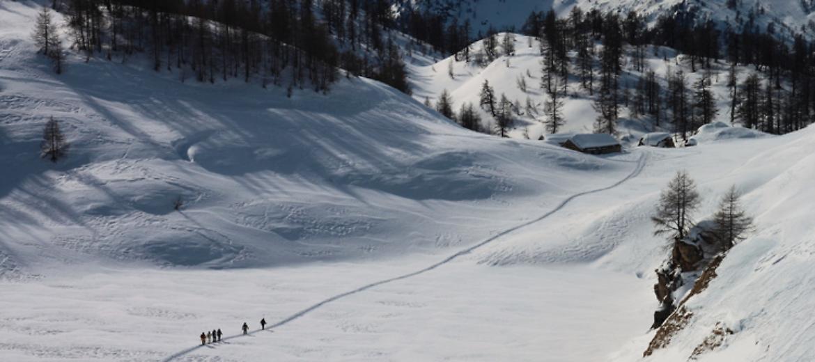 Ciaspolate in alta quota all'Alpe Sangiatto