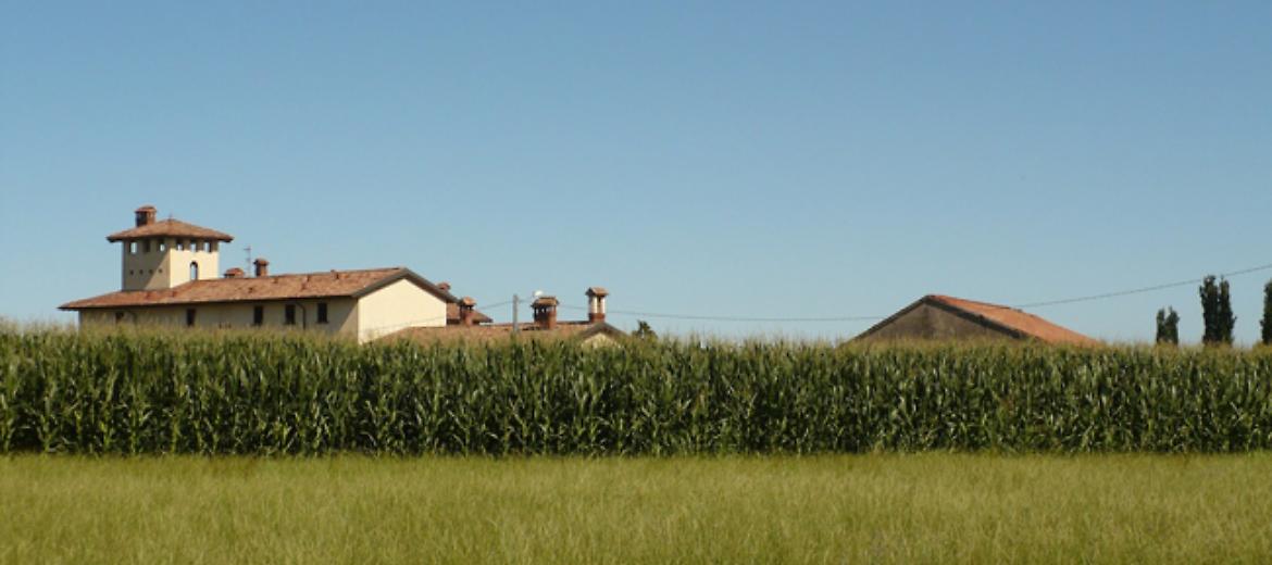 Alla scoperta della campagna lombarda