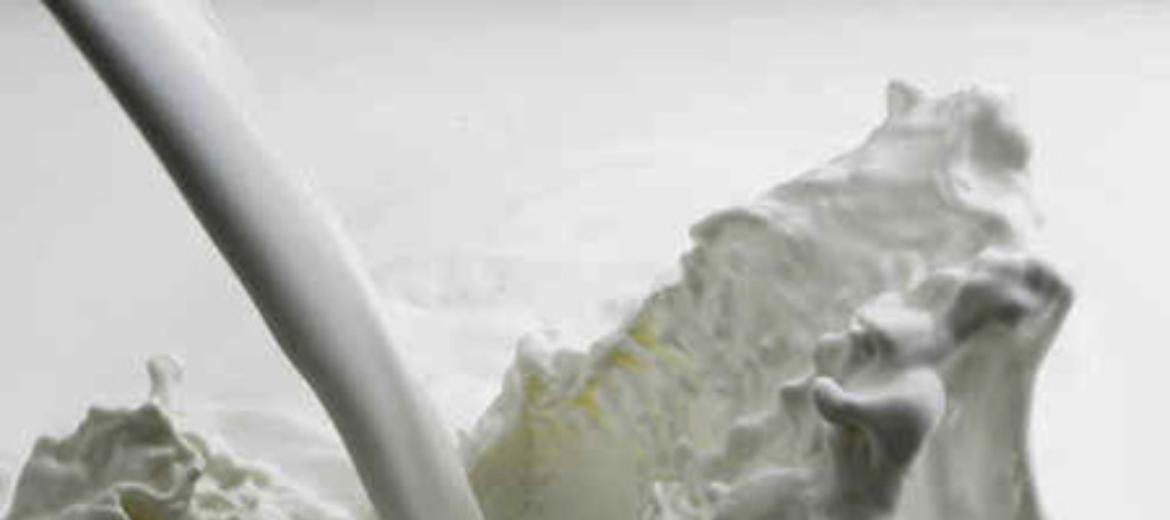 Latte, Confagricoltura: aumento prezzo alla stalla di Granarolo sia d'esempio