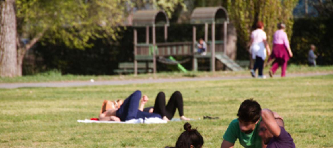 Quei vip che al parco al Po lasciano liberi i loro cani