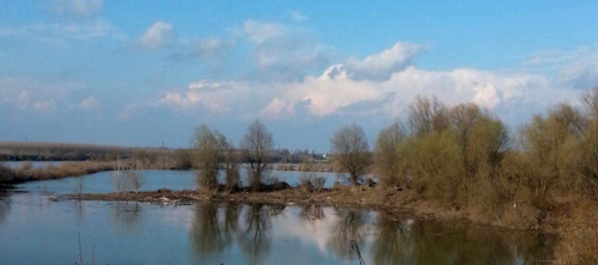 Maginot, dalla guerra alla pace: da deposito carburanti a oasi naturalistica