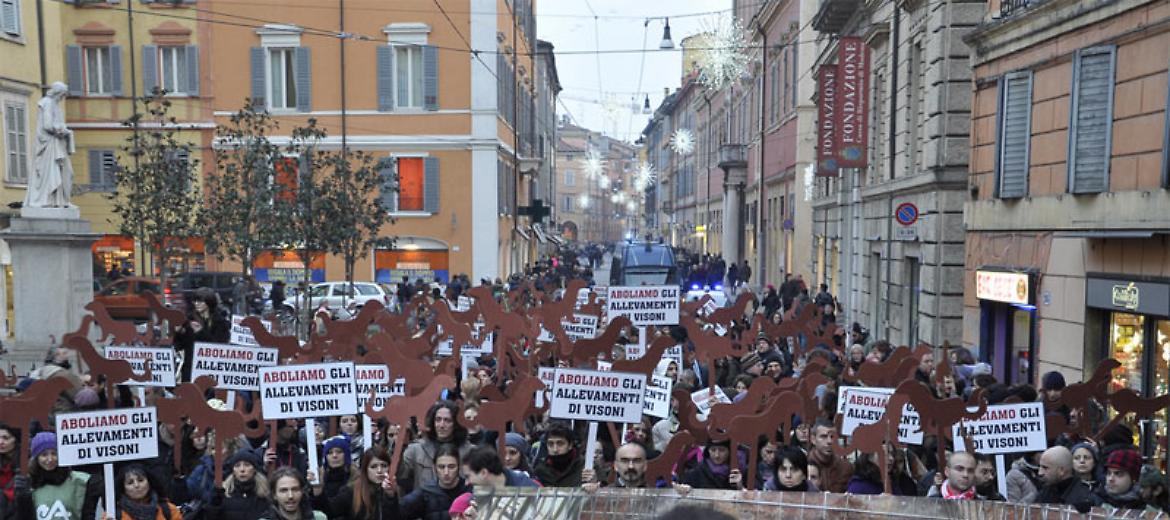 Basta gabbie per gli animali: grande manifestazione a Modena