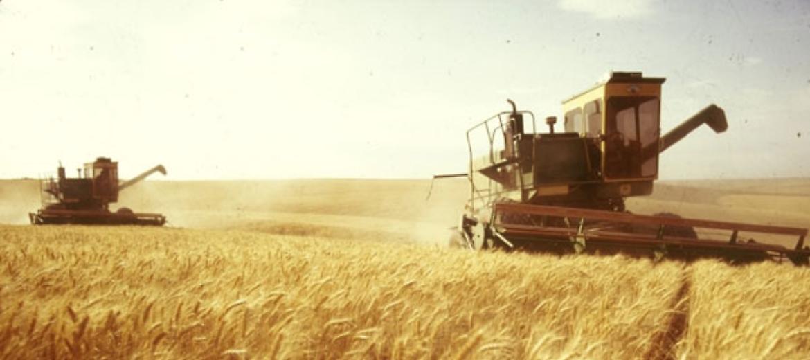 Grano: Confagri, tensione Russia-Ucraina ma Europa ha scorte