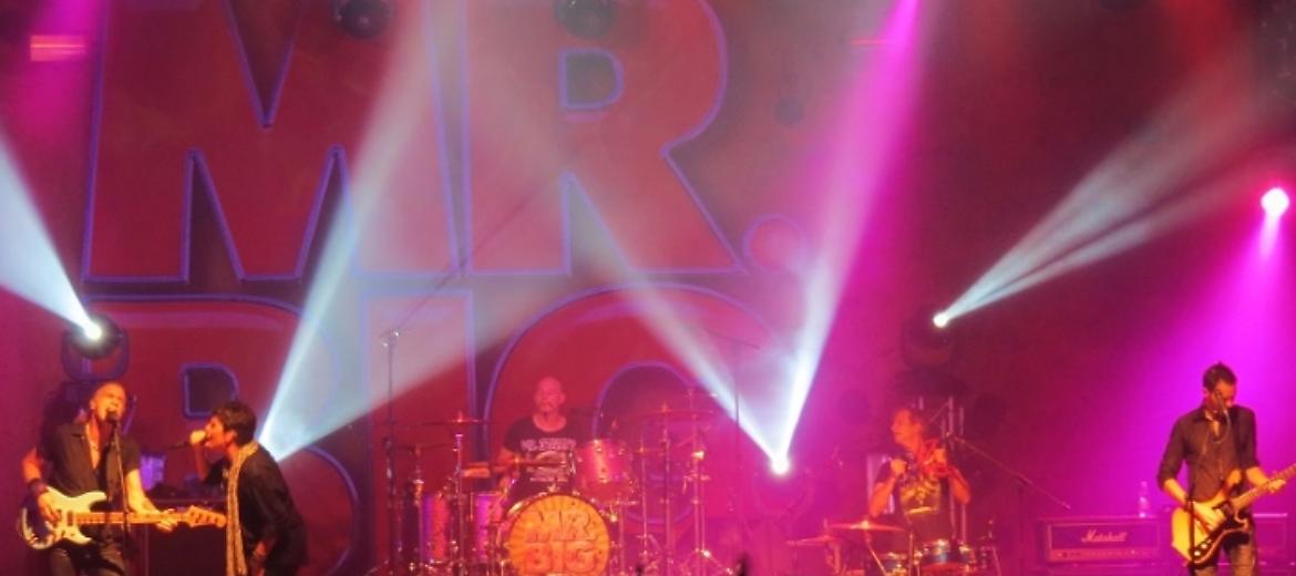 Mr. Big, un amico sul palco