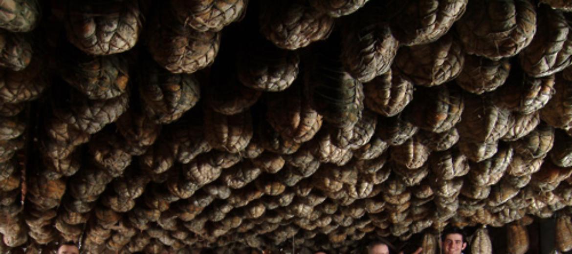 Polesine Parmense. ‘Museo del Culatello’: percorso tematico al via