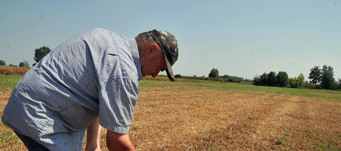 Siccità, Confagricoltura: «Soddisfazione per la linea assunta dal governo»