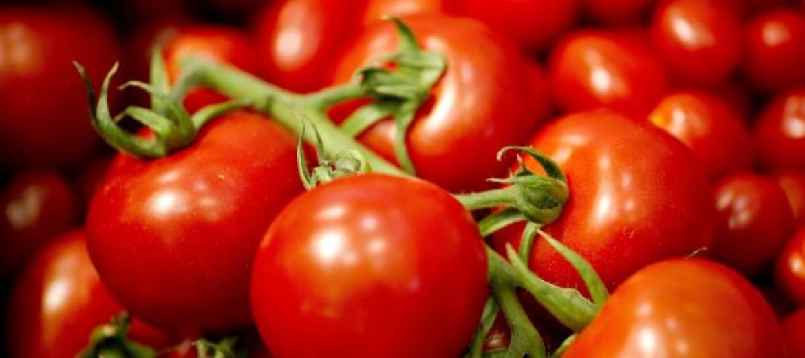 Arriva il superpomodoro amico delle cellule