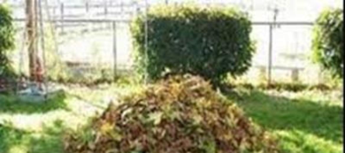 La raccolta degli scarti vegetali è inclusa nel costo generale