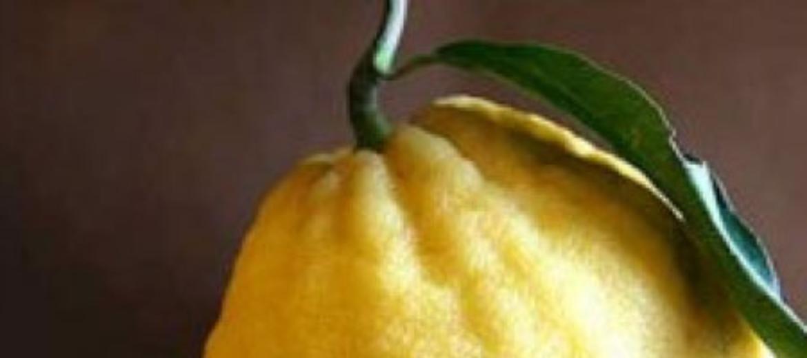 Bergamotto: un agrume dai tanti benefici