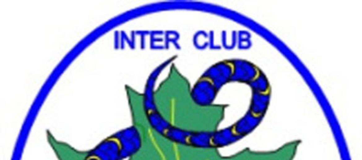 Bagnolo Cremasco - Interclub pro terremotati