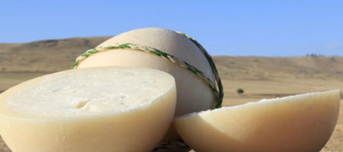 Pallone di Gravina