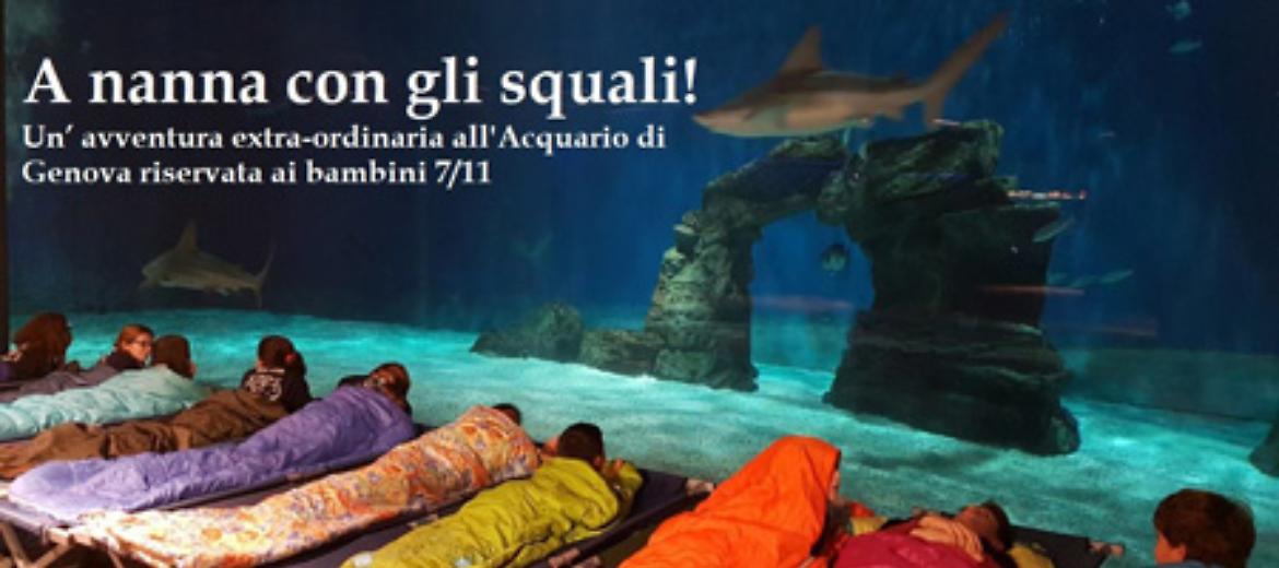 Notte con gli squali