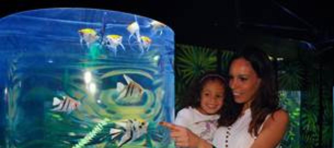 Domenica 12 festa della mamma a Gardaland SEA LIFE Aquarium