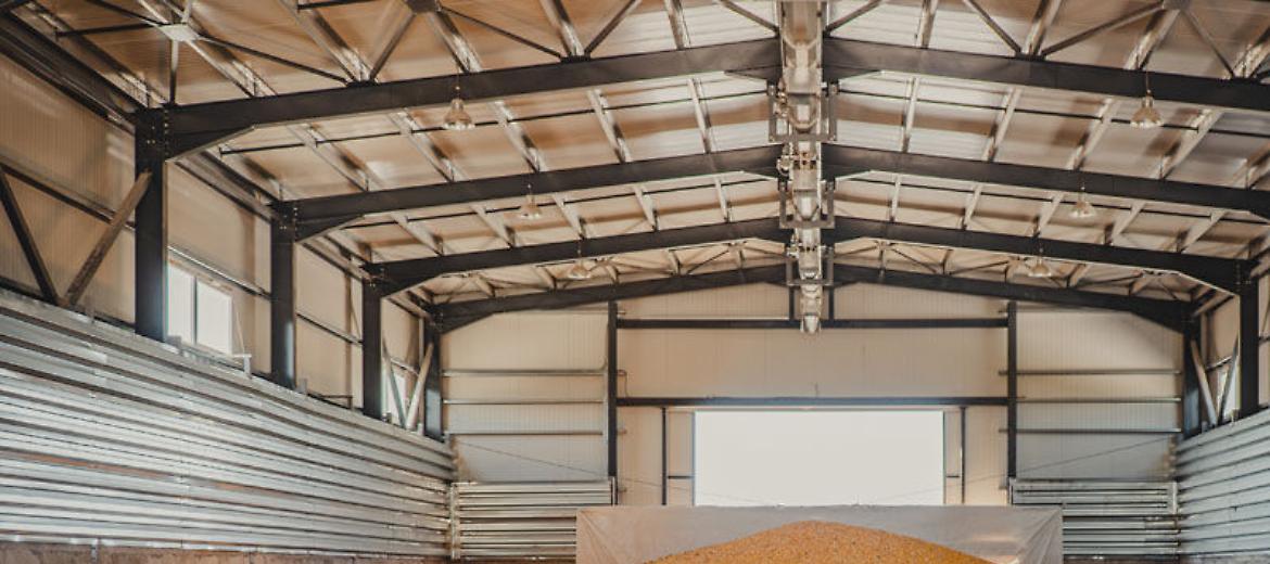 Cereali, la Commissione UE chiede all'Ungheria di ritirare il decreto che limita l'export