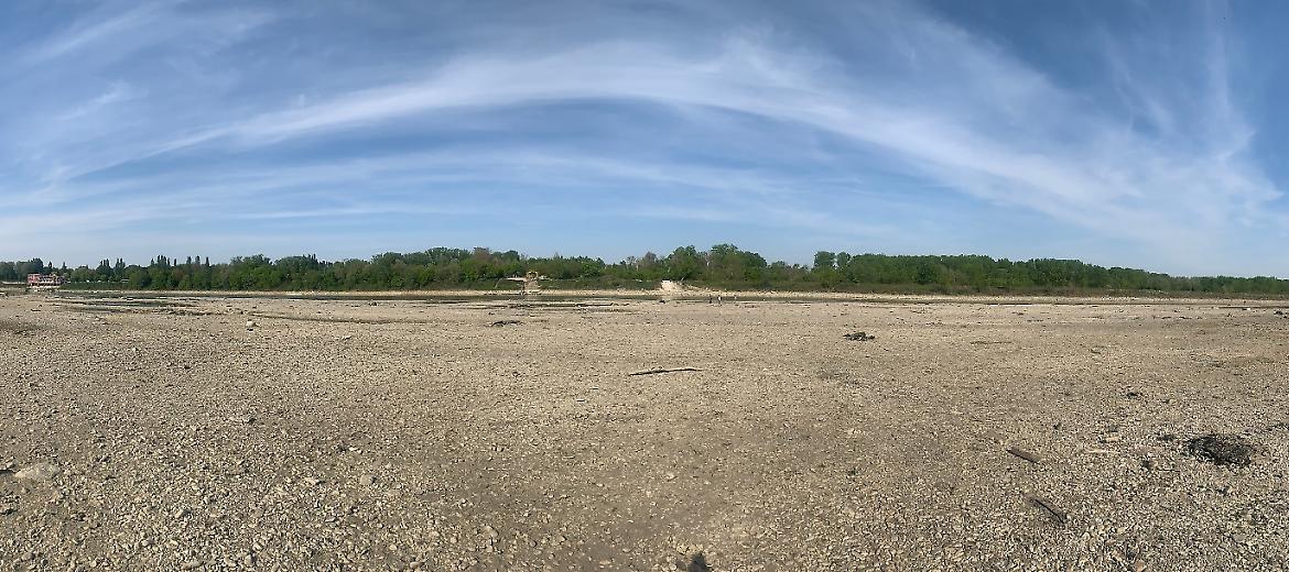 Siccit&agrave;, Confagricoltura: "Dichiarare lo stato di calamit&agrave; e procedere con interventi rapidi"