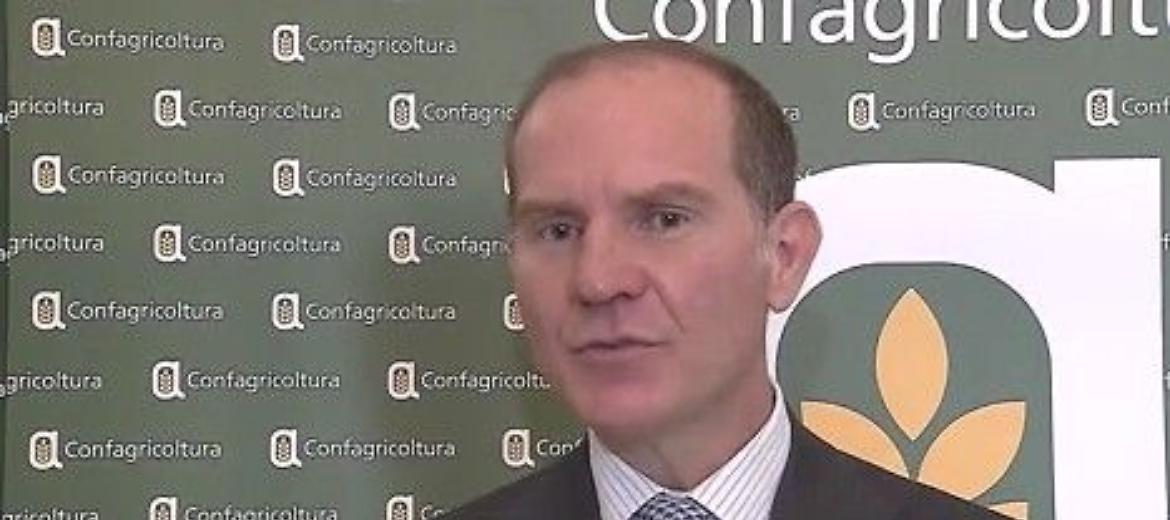 Allarme siccità: il presidente di Confagricoltura Giansanti al TG1
