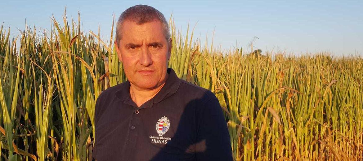 Siccità, più acqua oggi e domani: «O si ferma l’irrigazione»