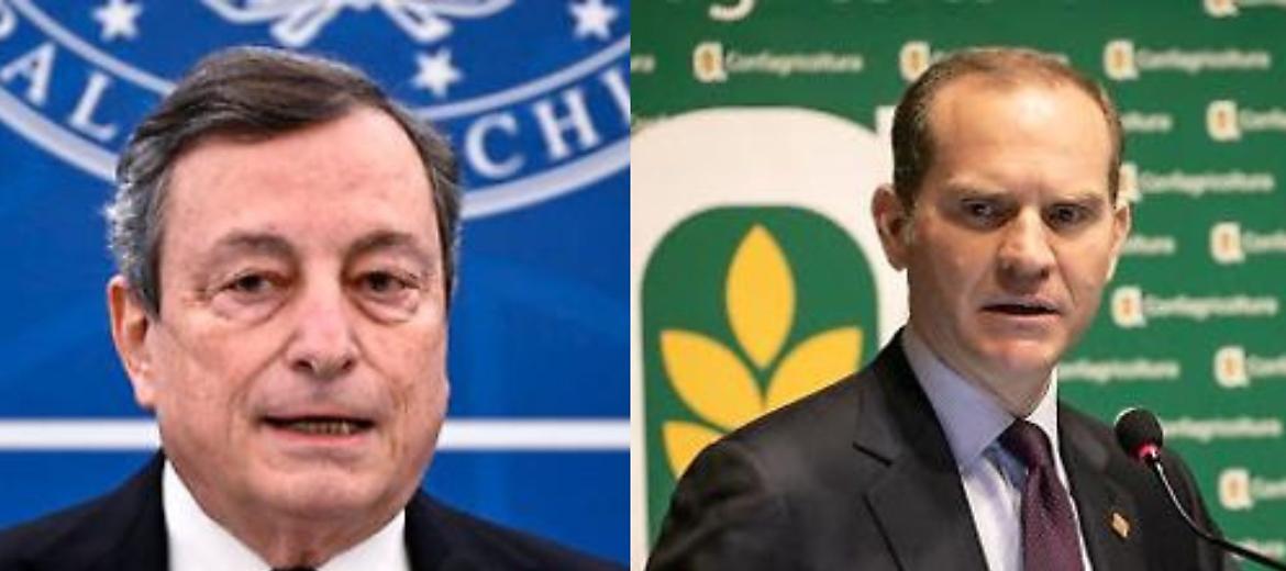 Governo: per Draghi nessun compenso per carica premier 
