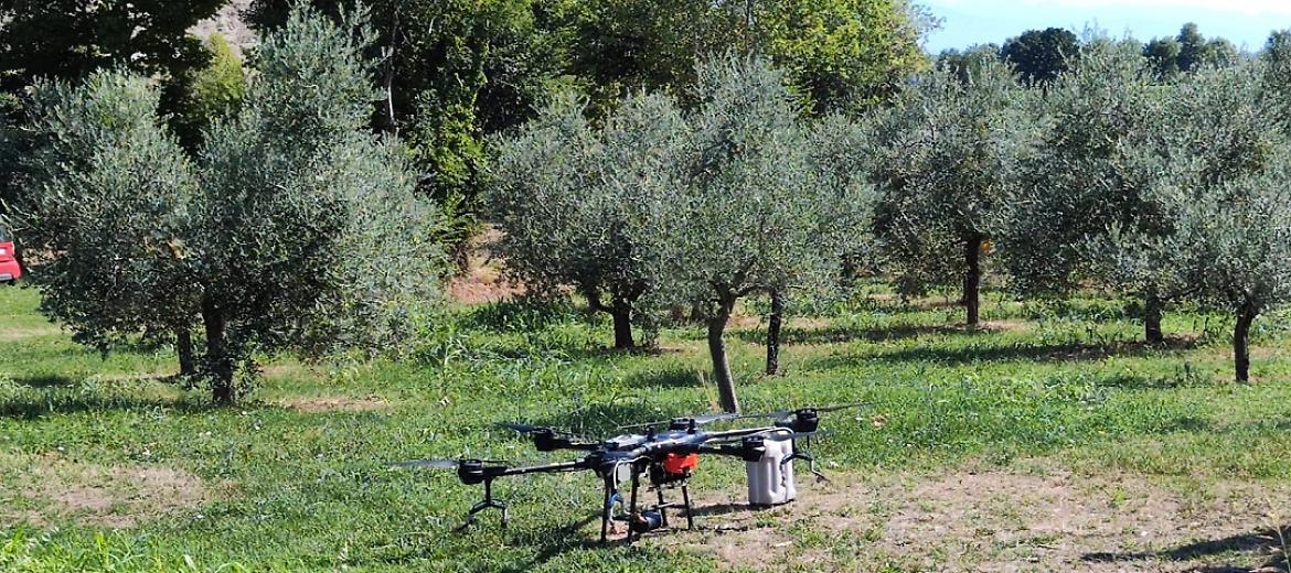 Lombardia prima a usare droni nella difesa delle coltivazioni