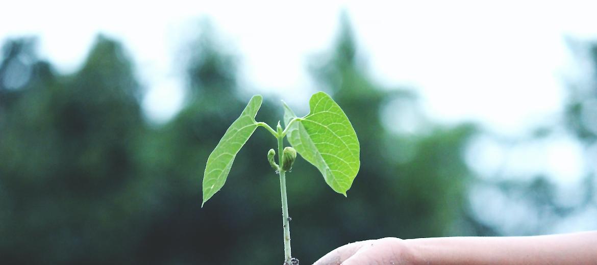 Smart AgriFood, attivo il link per il questionario rivolto ad aziende agricole e zootecniche