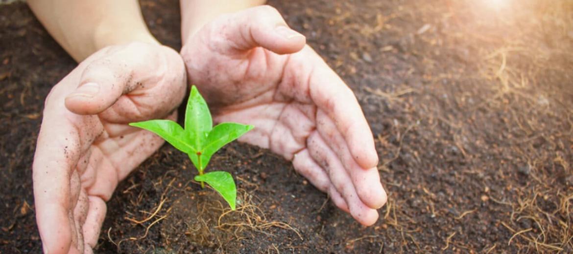 Giornata suolo: Confagri, risorsa essenziale per vita su terra