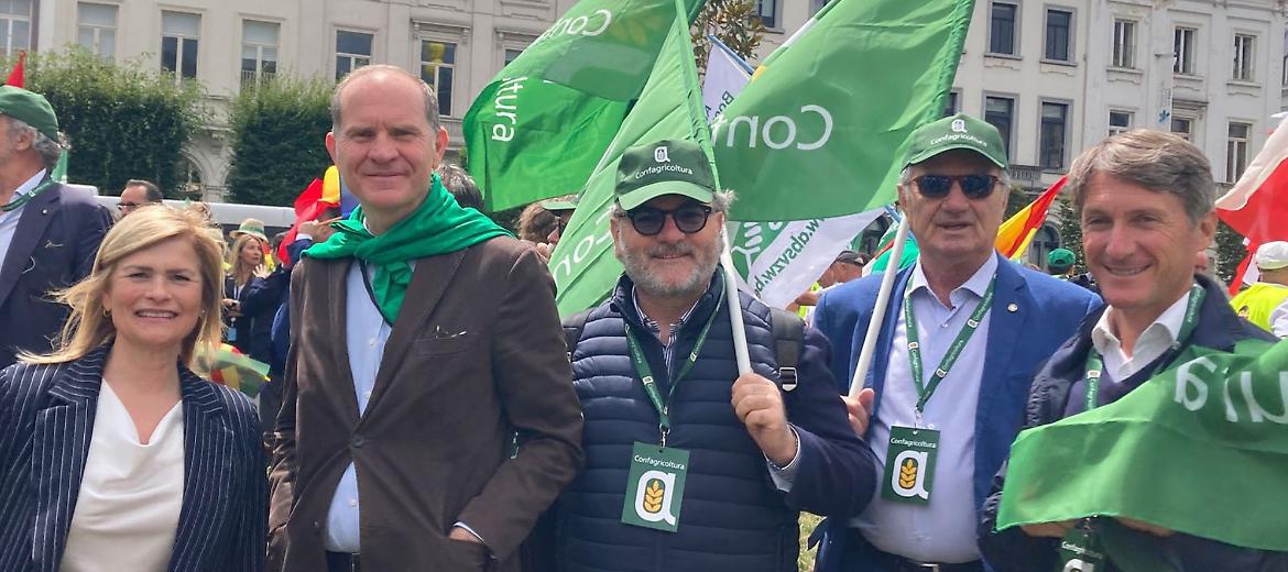 «Così si dichiara guerra all'agricoltura europea»