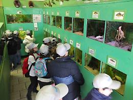 Covid, Fase 2: a Motta Baluffi riapre oggi l'Acquario del Po