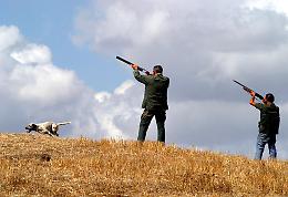 Caccia, dal 18 settembre attività consentita per alcune specie di avifauna
