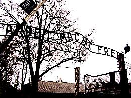 Fabio, Massimo ed Emanuele, di Cremona, Leno ed Esine, in bicicletta verso Auschwitz 