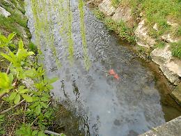 Gasolio in rogge e fogne