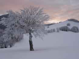 Ciaspolata sul Monte Tavola (PR) domenica 23