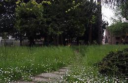 'Parco Chiappa è una giungla'