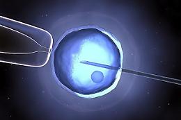 Utero in affitto, 'noi truffati dalla clinica di Kiev'
