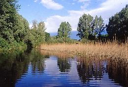 Una giornata alle oasi del WWF 