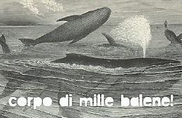 A Castelleone la collettiva ''Corpo di Mille Balene!'' 21 e 22 giugno