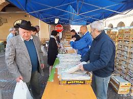 Le immagini della Sagra della Radici 2014