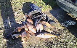 Fiocine e reti, scoperti e multati dodici pescatori di frodo