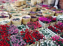 Mostra mercato Flora et Decora a Milano