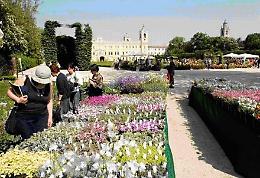 Nel segno del Giglio alla reggia di Colorno, 24-26 aprile