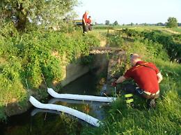 Idrocarburi in roggia, microfauna ko