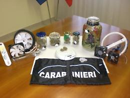 Arrestato coltivatore di marijuana