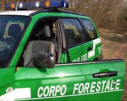 Prelievo abusivo d'acqua, 14 multati dai Forestali