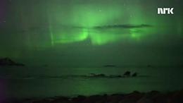 Norvegia, megattere sotto l'aurora boreale: lo spettacolo &egrave; unico