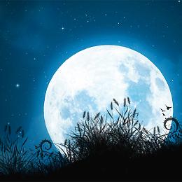  «I poeti e la luce della luna», incontro con Montuori venerdì
