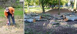 Quei tagli pericolosi nel parco