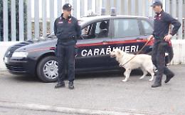 Controlli nei parchi, sei giovani trovati con la droga