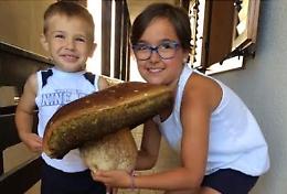 Fungo porcino da 2,4 chili, record per un monticellese