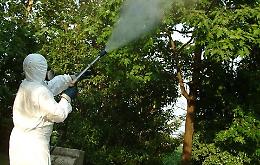 Febbre Dengue, un contagiato