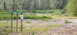 L'area naturalistica Garzaia nel Parco del Mincio