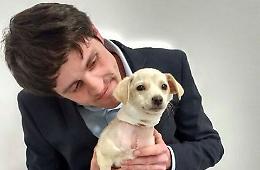 Per la cucciola Jenny buono il decorso post operatorio 